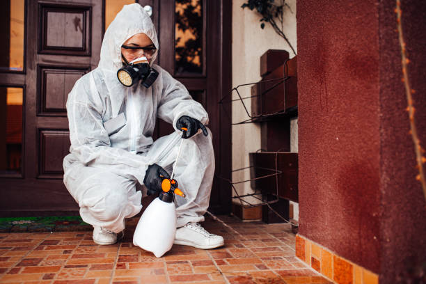 Reliable Wasp Removal contractor in Sutton, NE by Show Me Pest Control